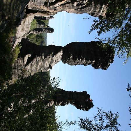 Landpension Bielatal - Raum Exteriér fotografie