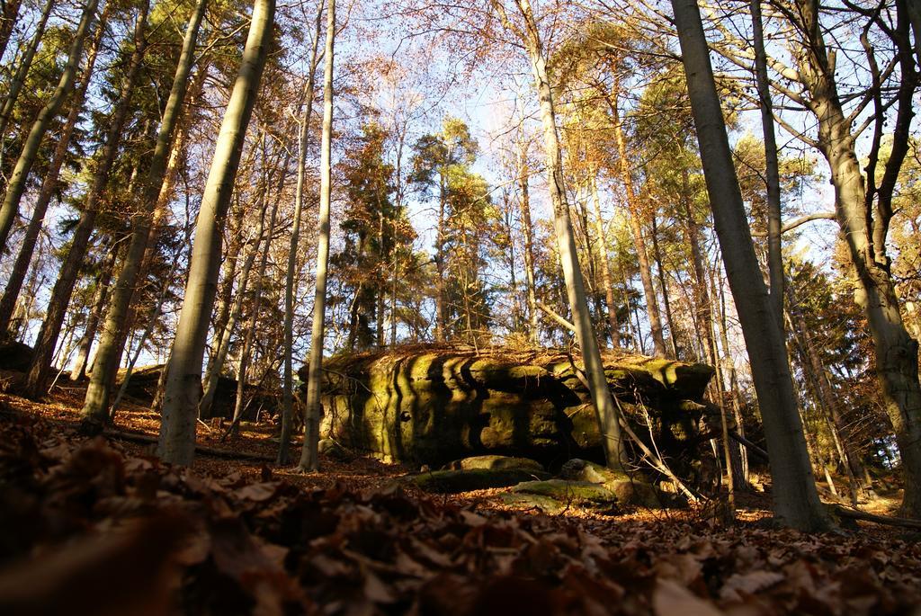 Landpension Bielatal - Raum Exteriér fotografie